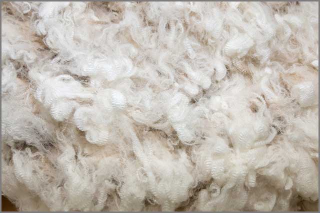 White merino wool