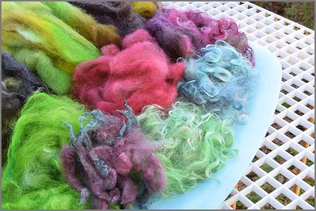 Freshly dyed wool roving