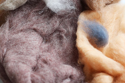 Wool texture for felting