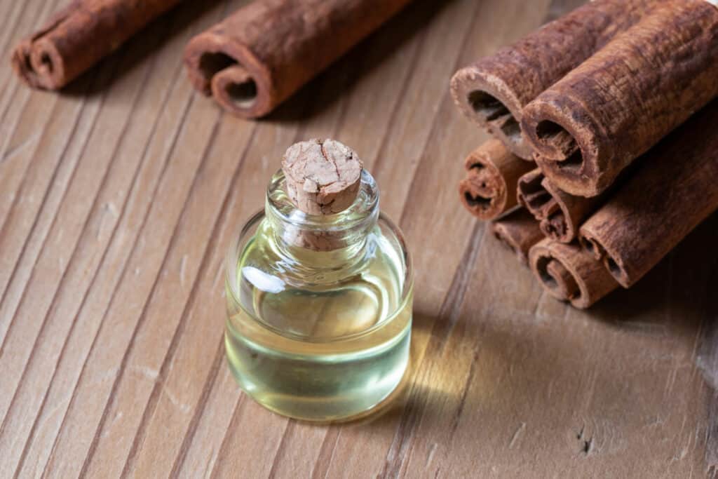 Can You Add Essential Oils to Wool Dryer Balls: cinnamon essential oil