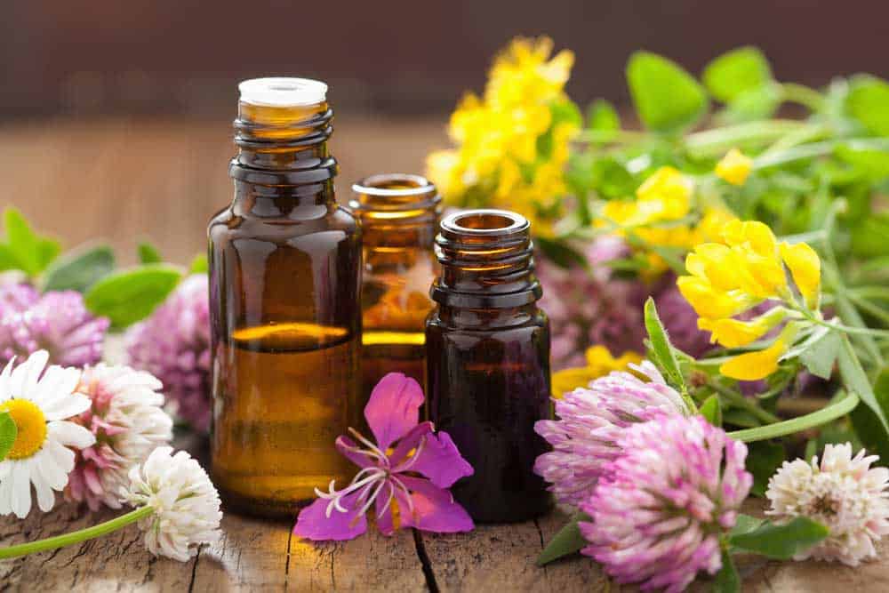 Bottles of essential oil and medical flowers